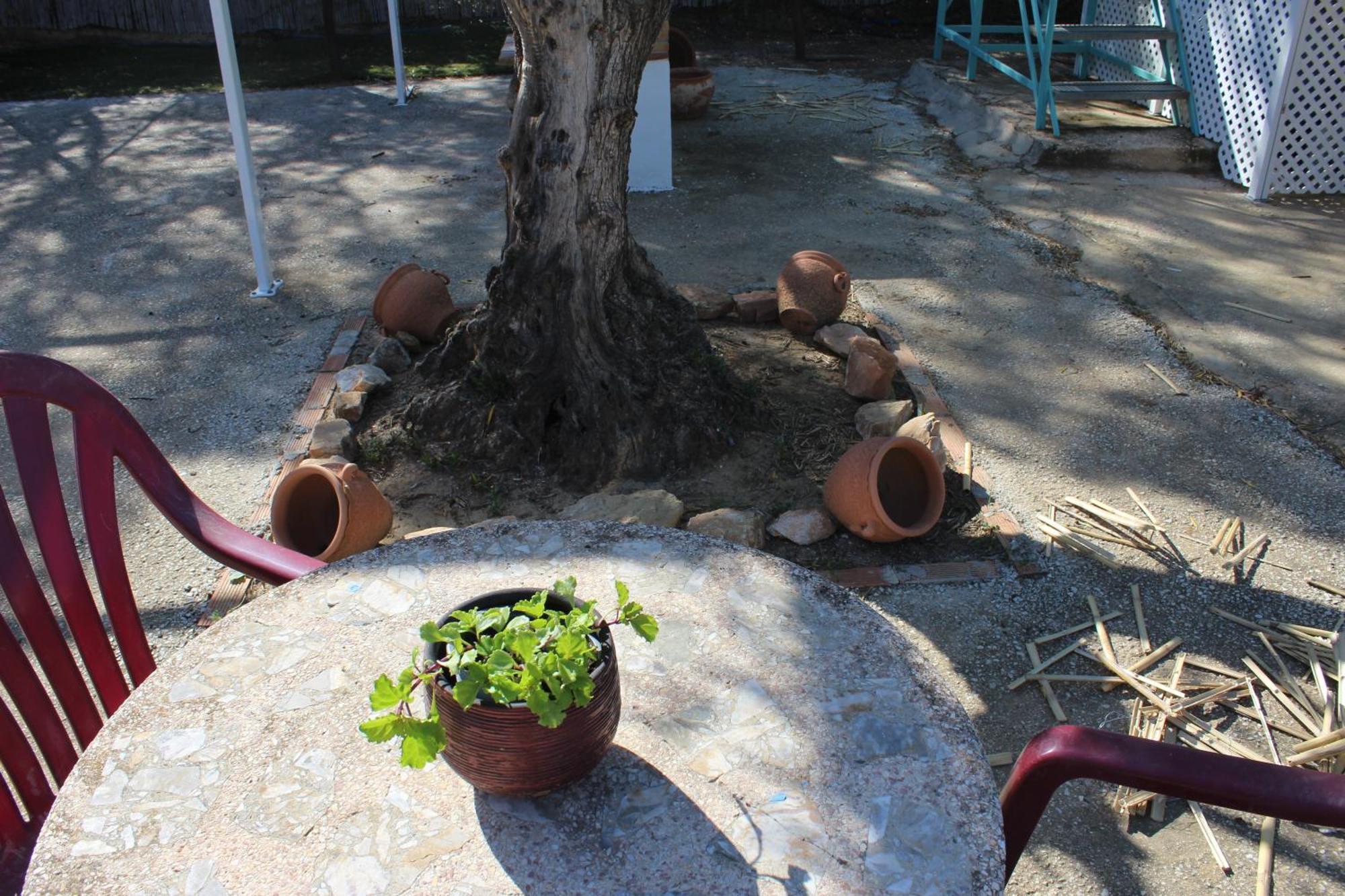 Casa De Campo En Coín מראה חיצוני תמונה