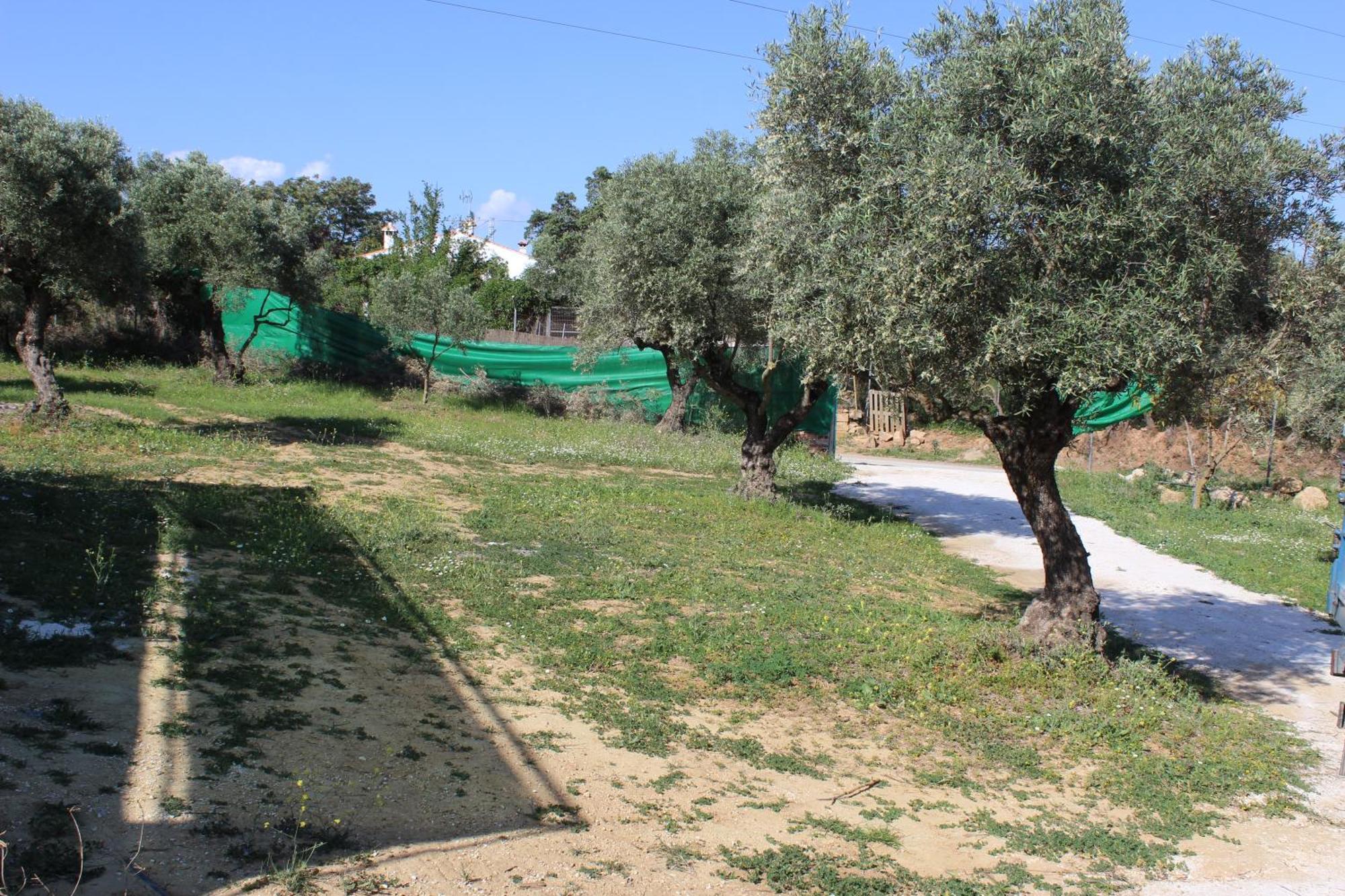 Casa De Campo En Coín מראה חיצוני תמונה