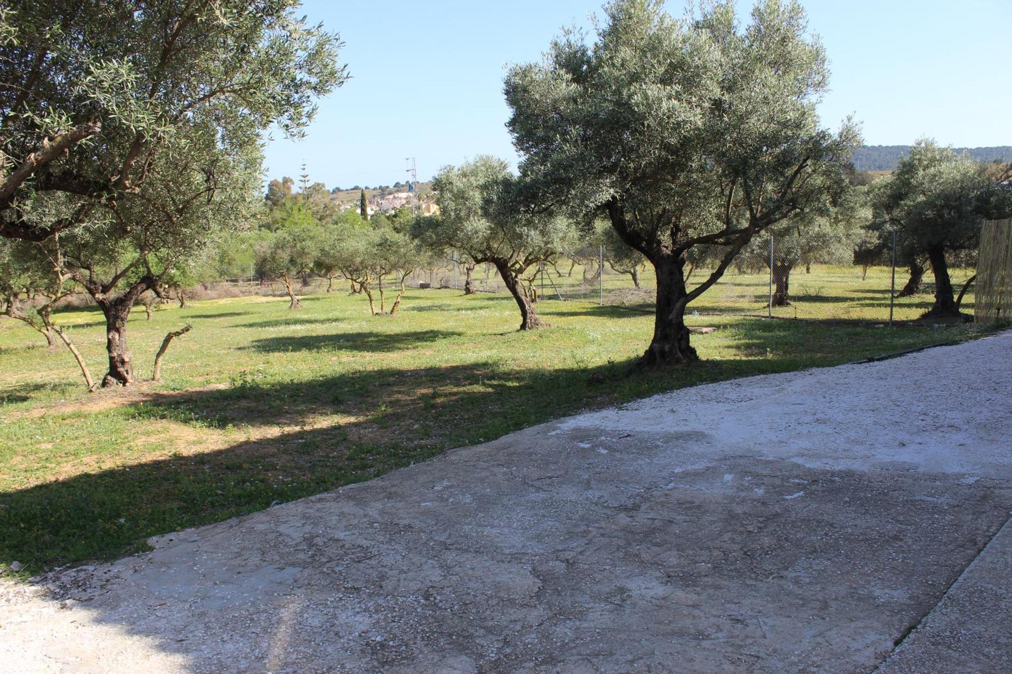 Casa De Campo En Coín מראה חיצוני תמונה