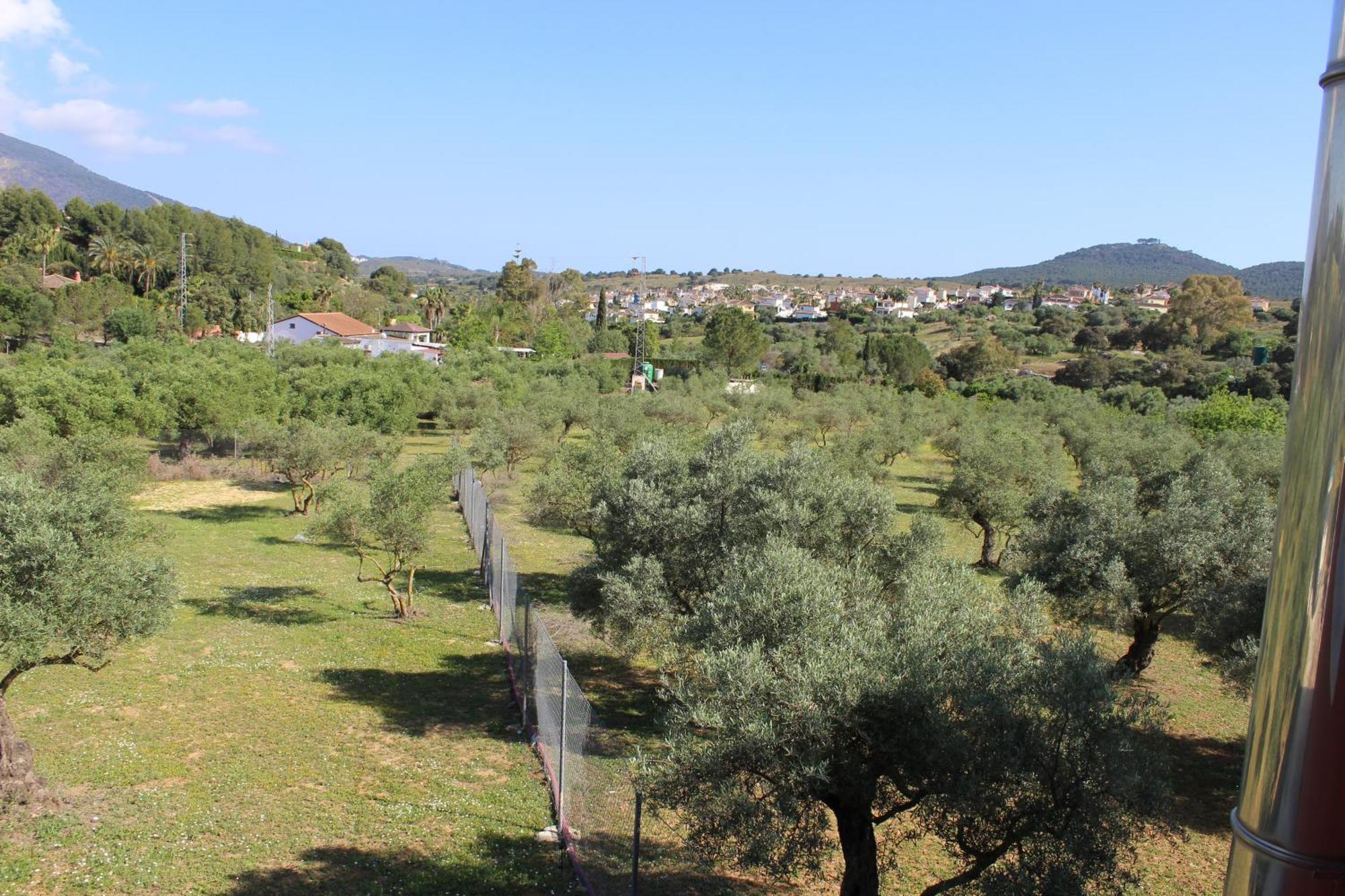 Casa De Campo En Coín מראה חיצוני תמונה