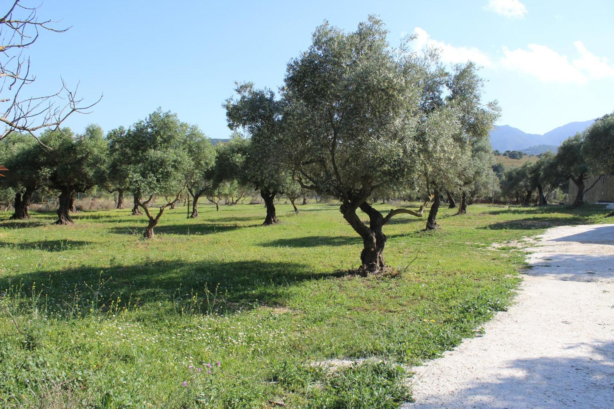 Casa De Campo En Coín מראה חיצוני תמונה